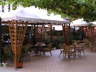 hotel igea marina