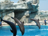 Acquafan e Oltremare