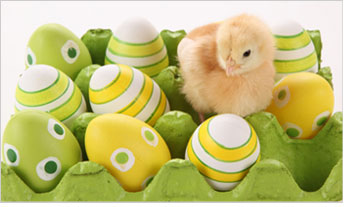 Pasqua Romagna