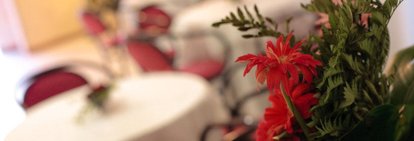 hotel igea marina